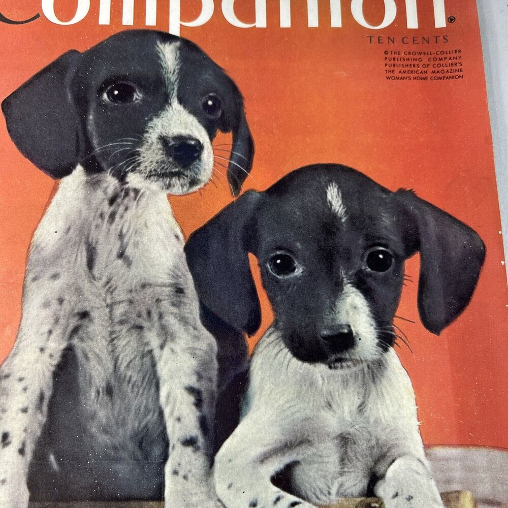 1940 August womans home companion magazine pointer puppies - Picture 4 of 15